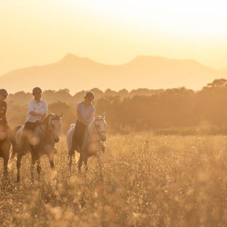 Cal Robusto, Apartament In Masia With Horses Siurana  Exterior foto