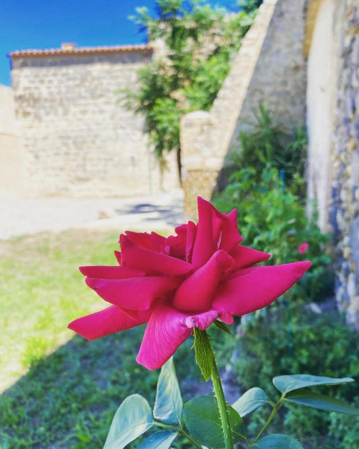Cal Robusto, Apartament In Masia With Horses Siurana  Exterior foto