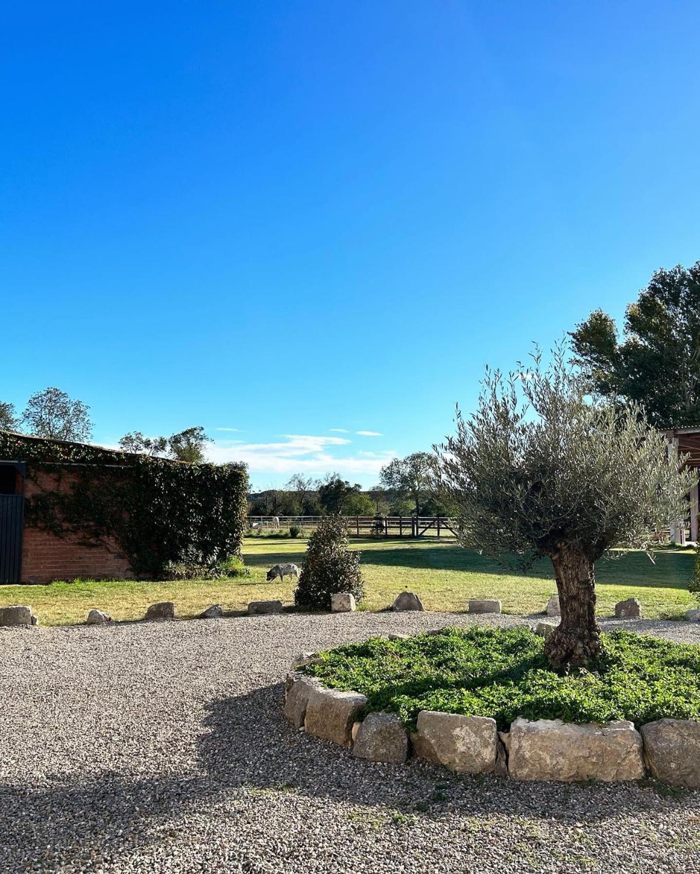 Cal Robusto, Apartament In Masia With Horses Siurana  Exterior foto
