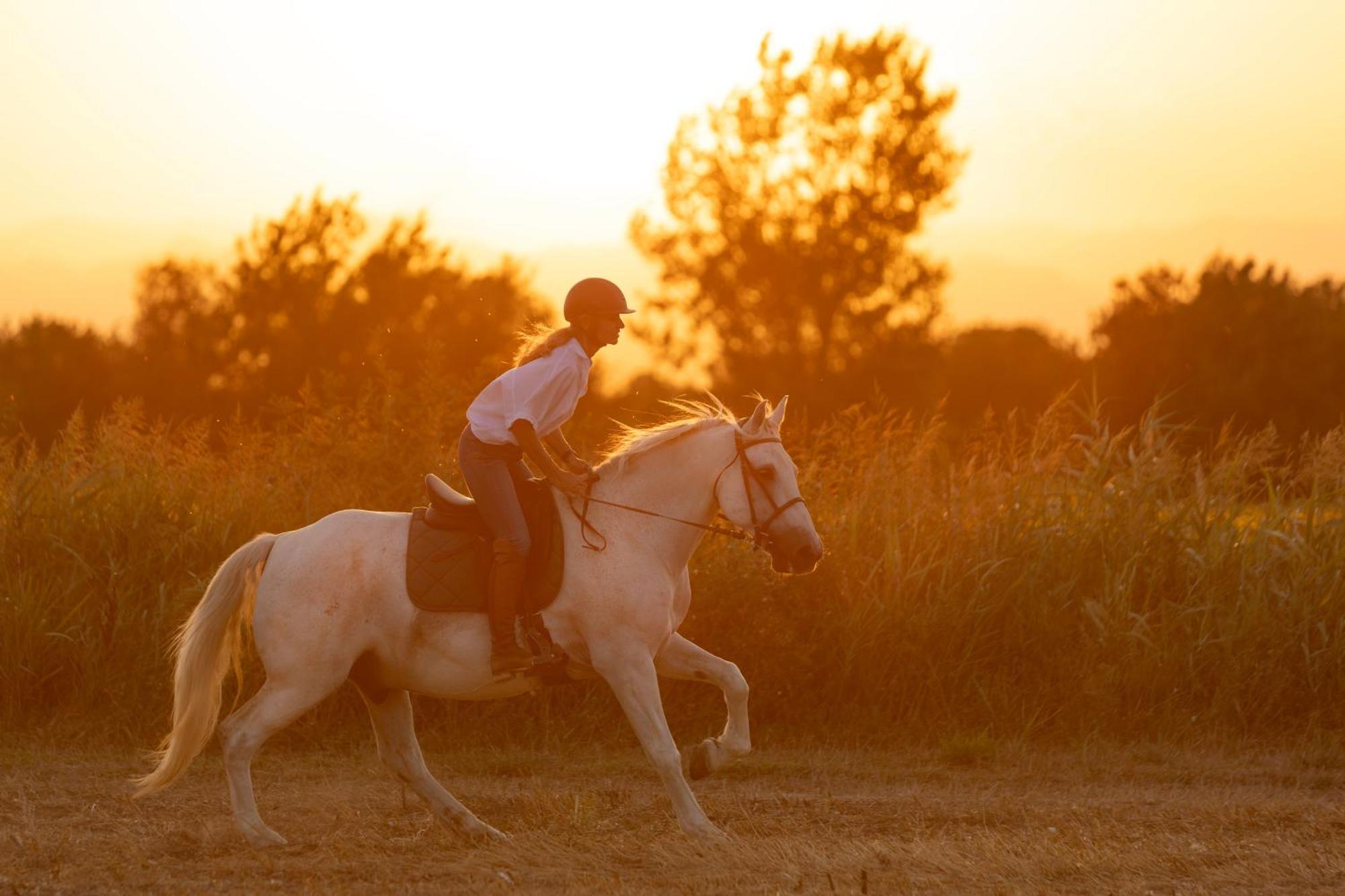 Cal Robusto, Apartament In Masia With Horses Siurana  Exterior foto