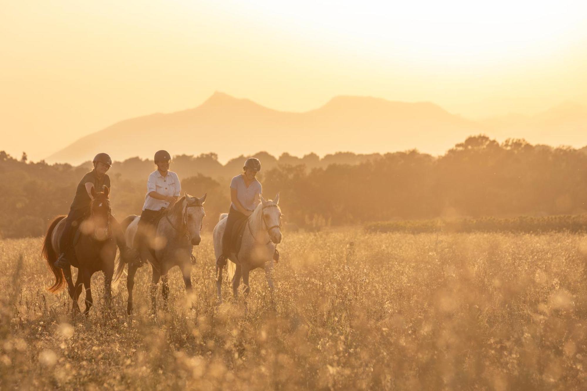 Cal Robusto, Apartament In Masia With Horses Siurana  Exterior foto