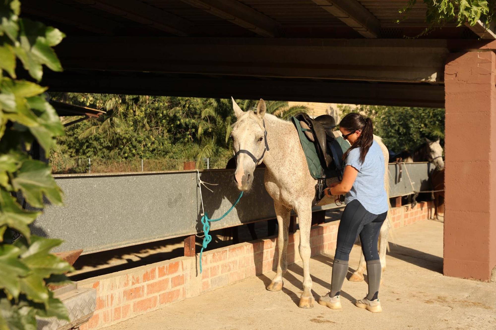 Cal Robusto, Apartament In Masia With Horses Siurana  Exterior foto