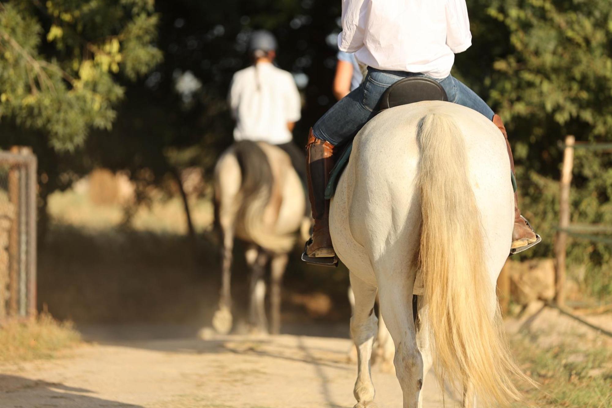 Cal Robusto, Apartament In Masia With Horses Siurana  Exterior foto
