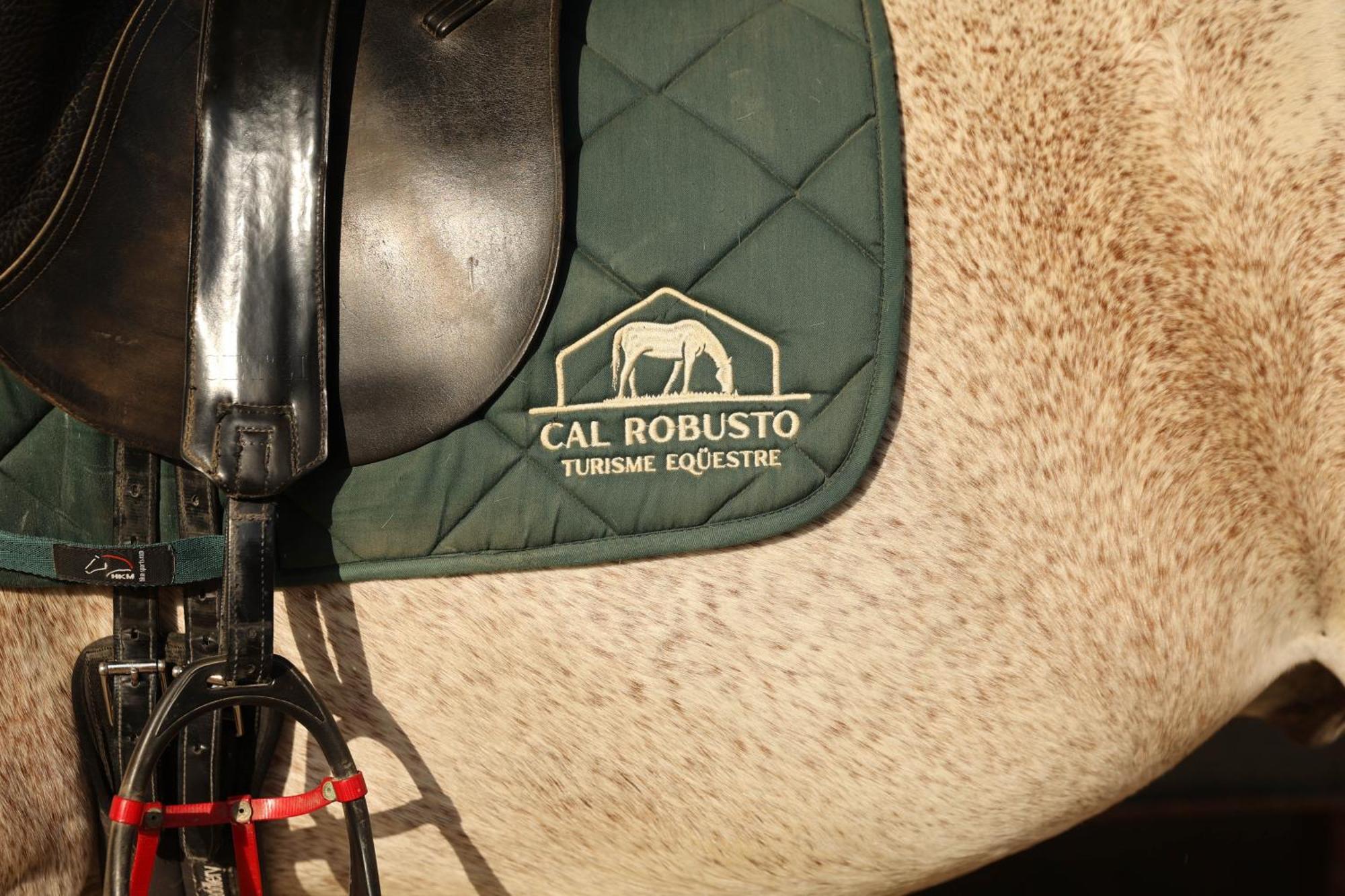 Cal Robusto, Apartament In Masia With Horses Siurana  Exterior foto