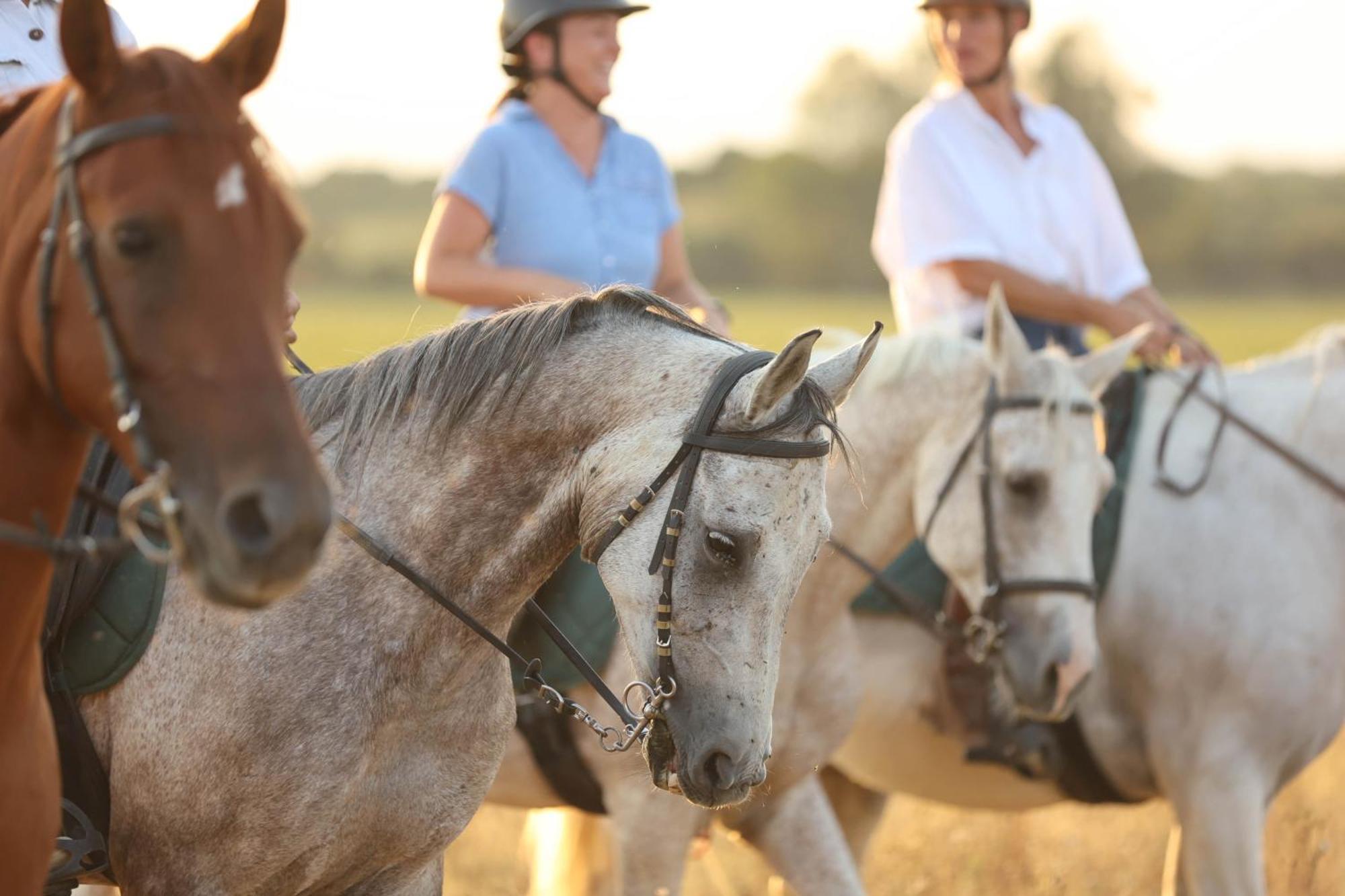 Cal Robusto, Apartament In Masia With Horses Siurana  Exterior foto