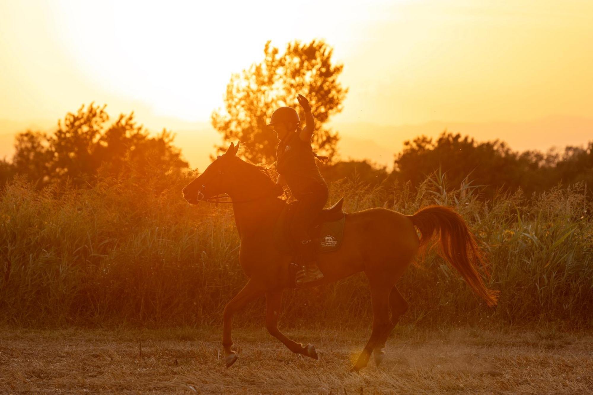 Cal Robusto, Apartament In Masia With Horses Siurana  Exterior foto