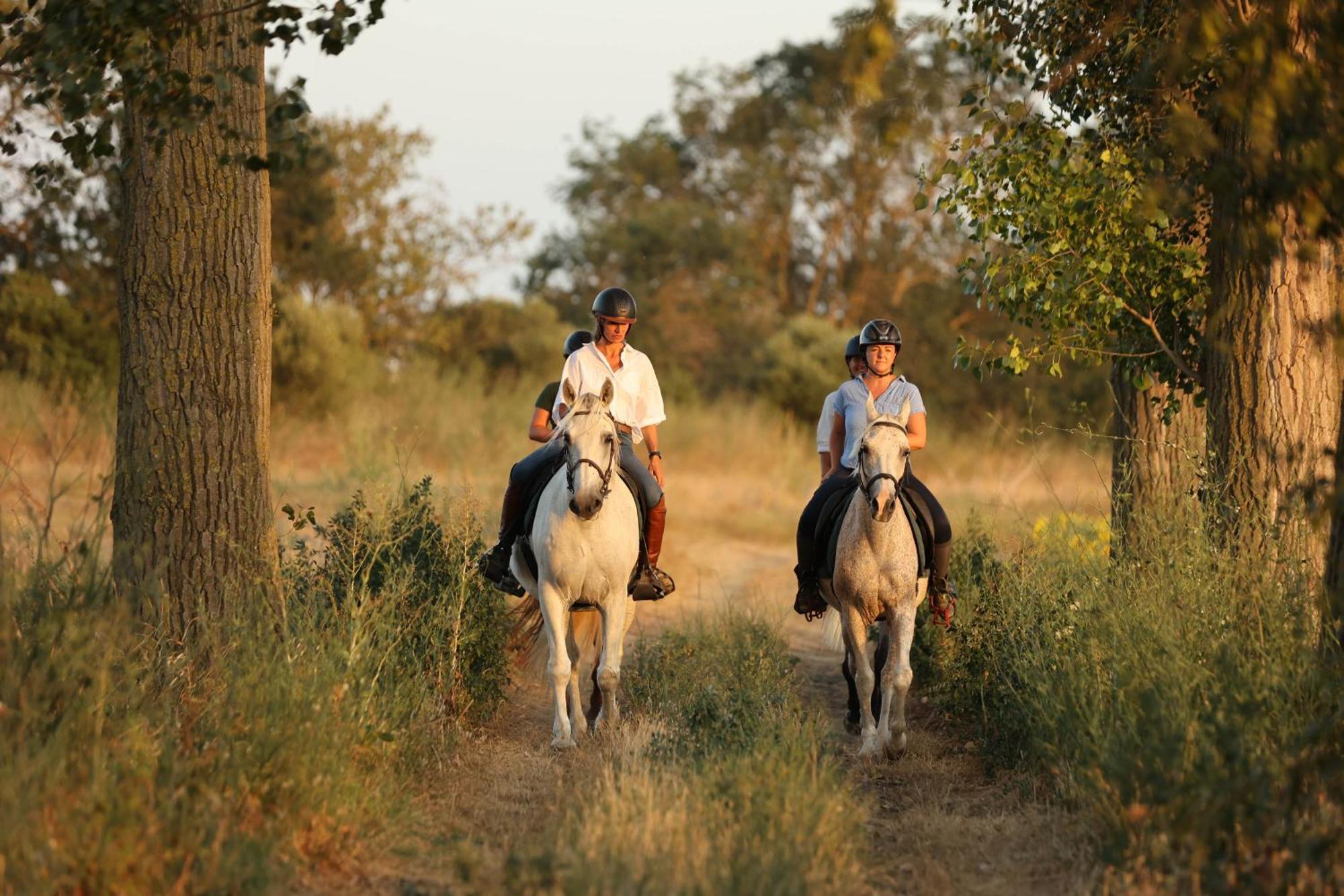 Cal Robusto, Apartament In Masia With Horses Siurana  Exterior foto